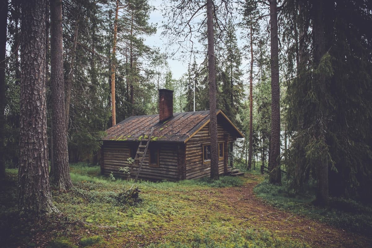 Cabins & Mountain